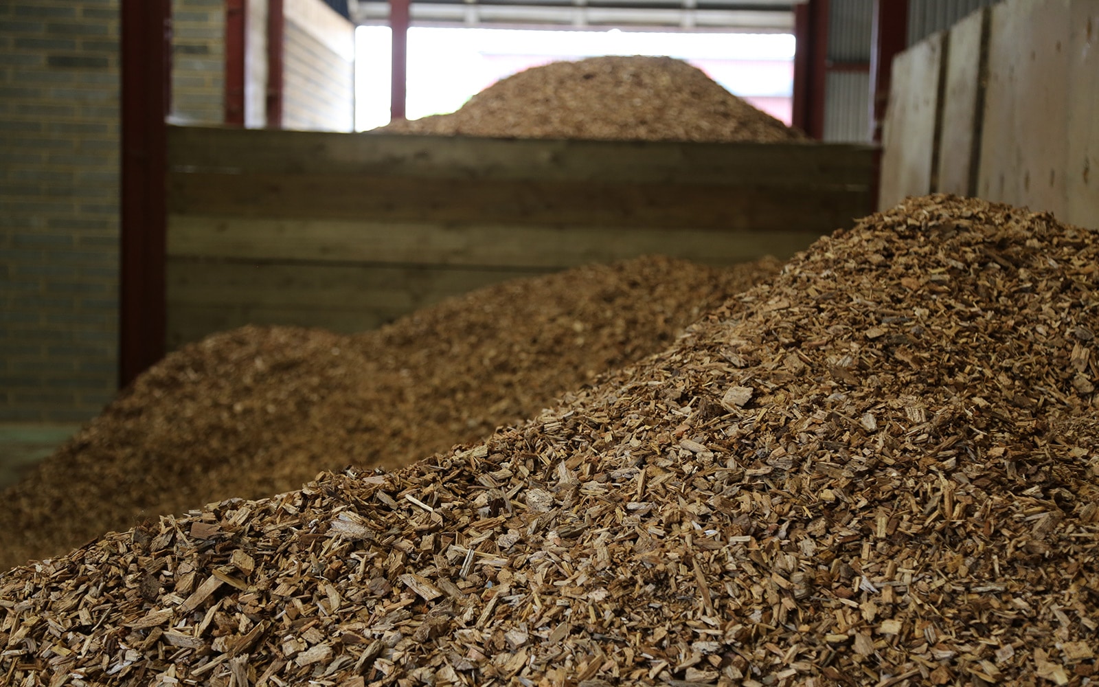 Wood chips for biomass boiler