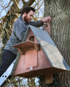 Man installing barn owl box