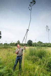 Forrester Rick Vallis managing willow trees